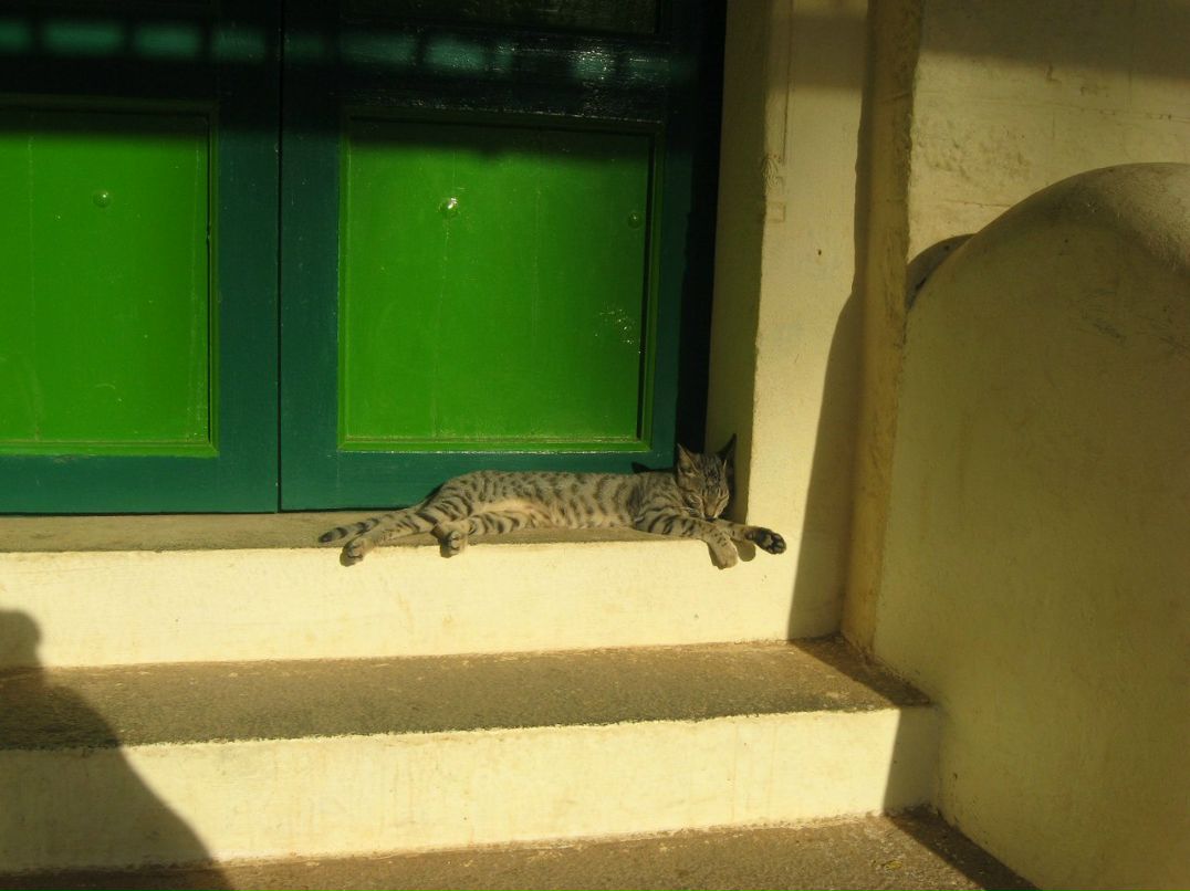 Елена Смирнова | Санкт-Петербург