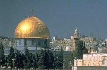 №28, Mahmoud Taha, 47 лет, Hurghada №28, Mahmoud Taha, 47 лет, Hurghada