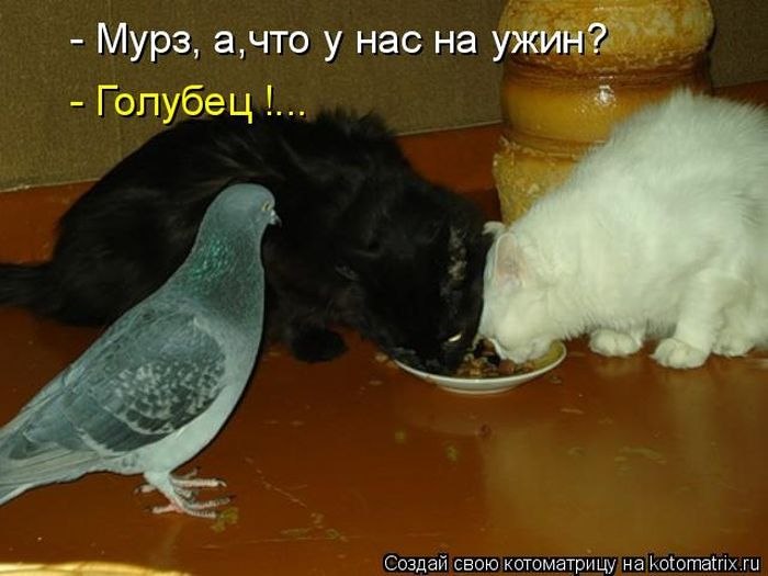 Ольга Кудрявцева | Санкт-Петербург