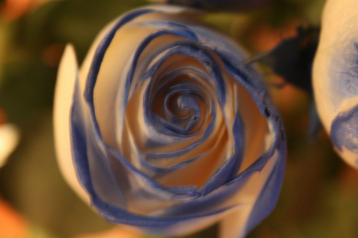 Лера Громова | Москва