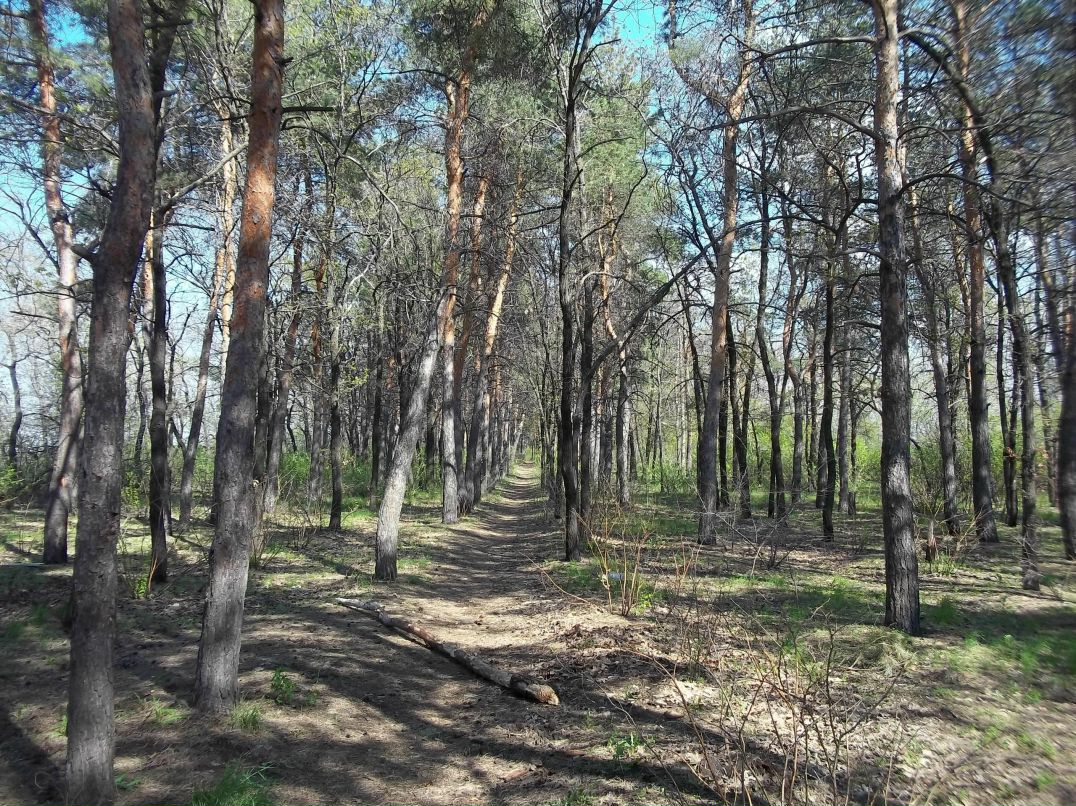 Михаил Втюрин | Саратов