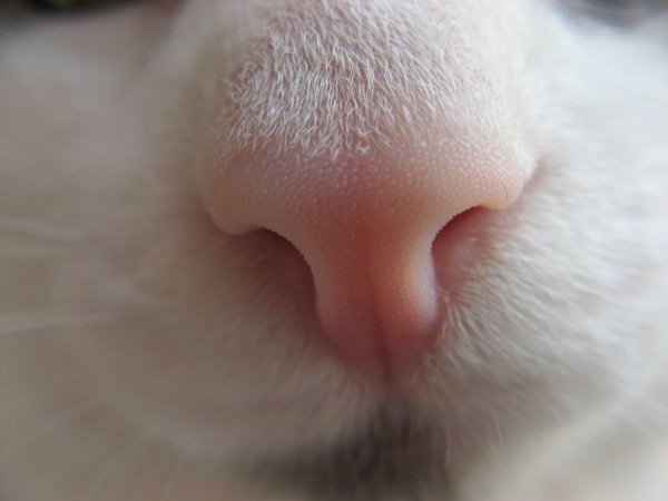 Юрий Владимирович | Красногорск