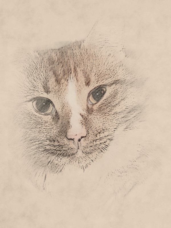 Барни Яковлев *Дачник* | Санкт-Петербург