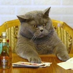 Светлана Рубцова ˙·٠•● ☆ ♔Lana♔ ☆ ●•٠·˙ | Санкт-Петербург