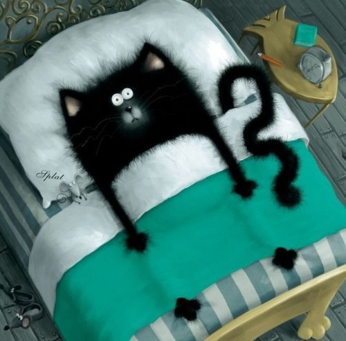 Ксения Савелова | Архангельск