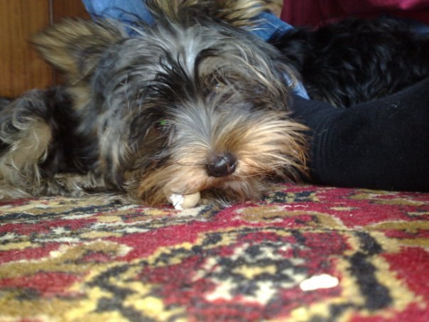 Сергей Клюшников | Москва