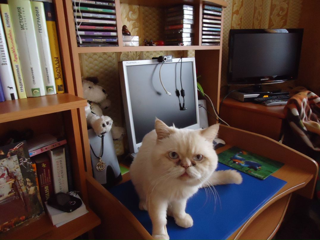 Lena Hayatlı | Antalya