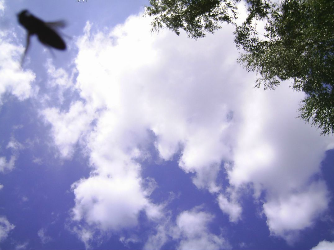 Кирилл Абанин {АкеллА} | Липецк