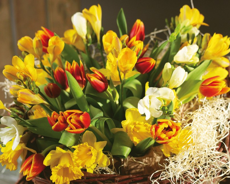 Альбина Зайнуллина | Казань