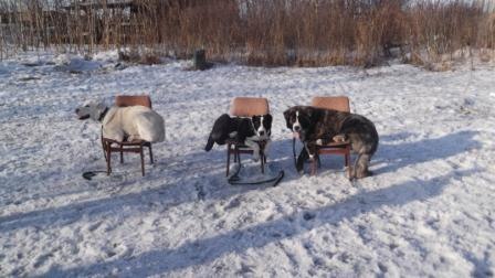 Надежда Дёмина | Новосибирск