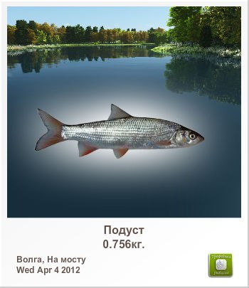 Владик Поник | Санкт-Петербург