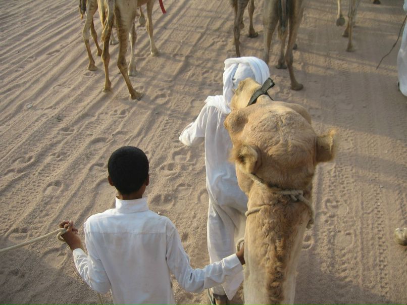 Илья Такшин | Днепр (Днепропетровск)