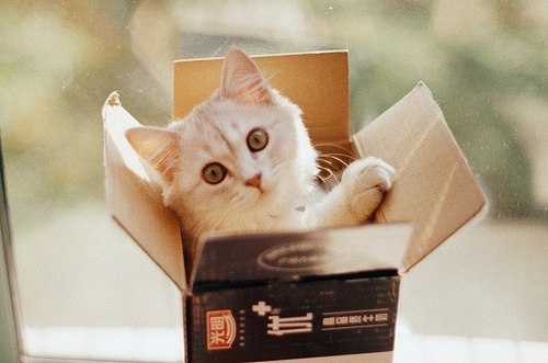 Маргарита Чистякова | Ростов-на-Дону