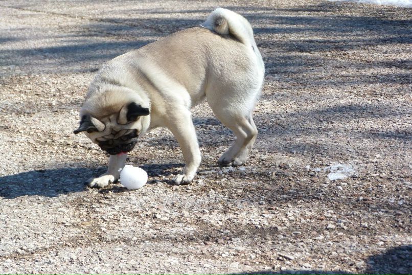 Алёна Мартынюк | Севастополь