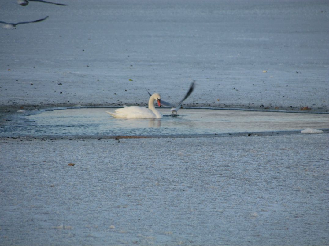 Александр Куценко | Одесса