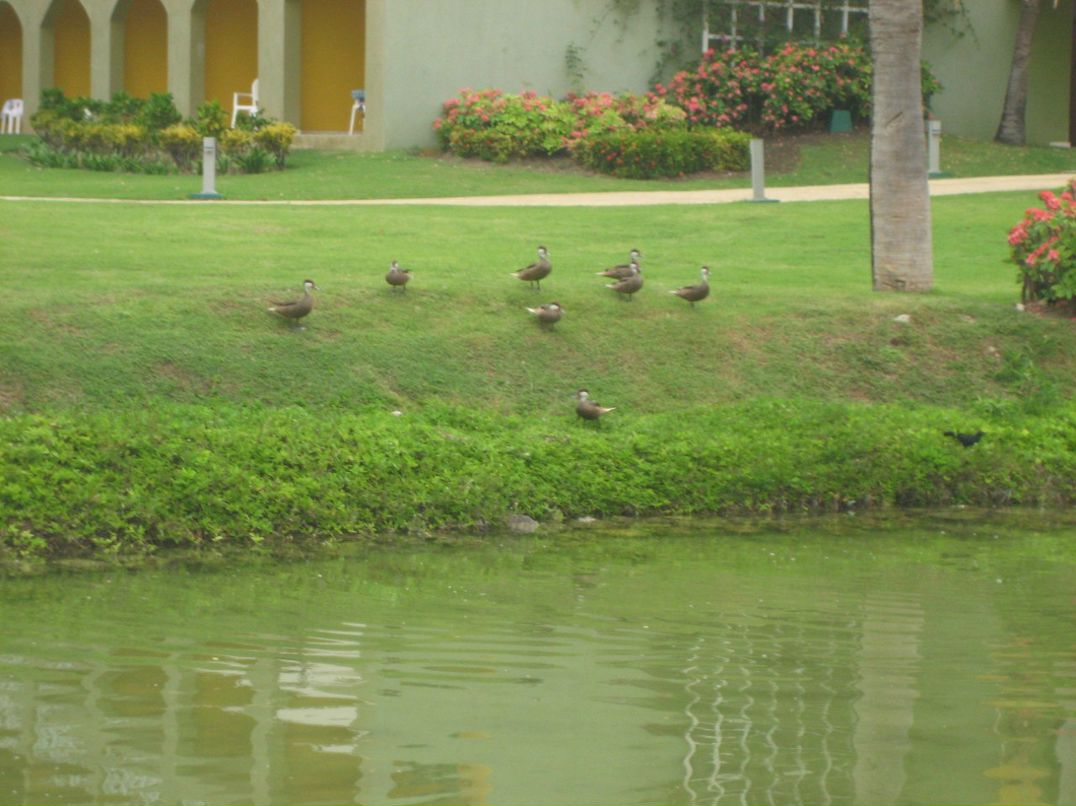 Виктория Угрюмова | Москва