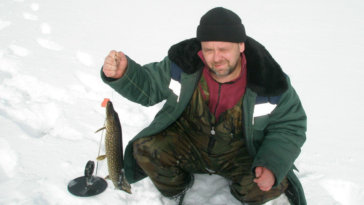 Андрей Гребеньков | Петрозаводск