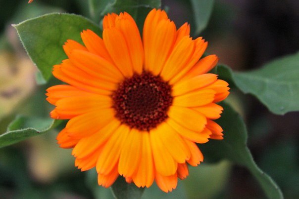 Надежда Филиппова | Казань