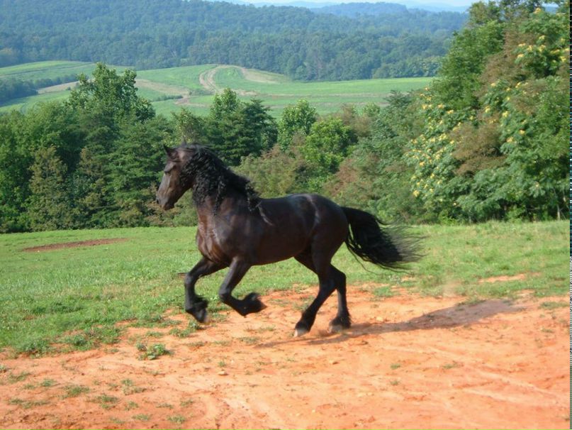 Алла Скорикова | Санкт-Петербург