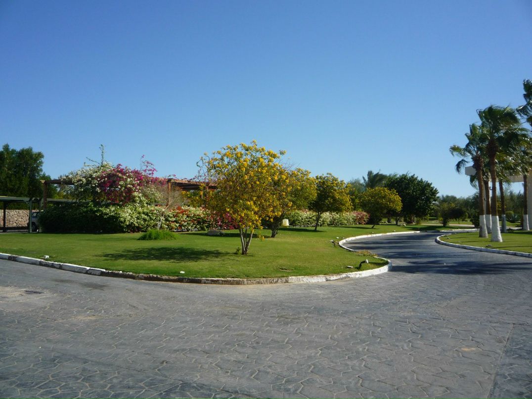 Дмитрий Волков | Владимир