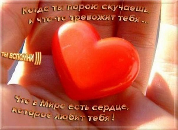 Светлана Баенская | Москва