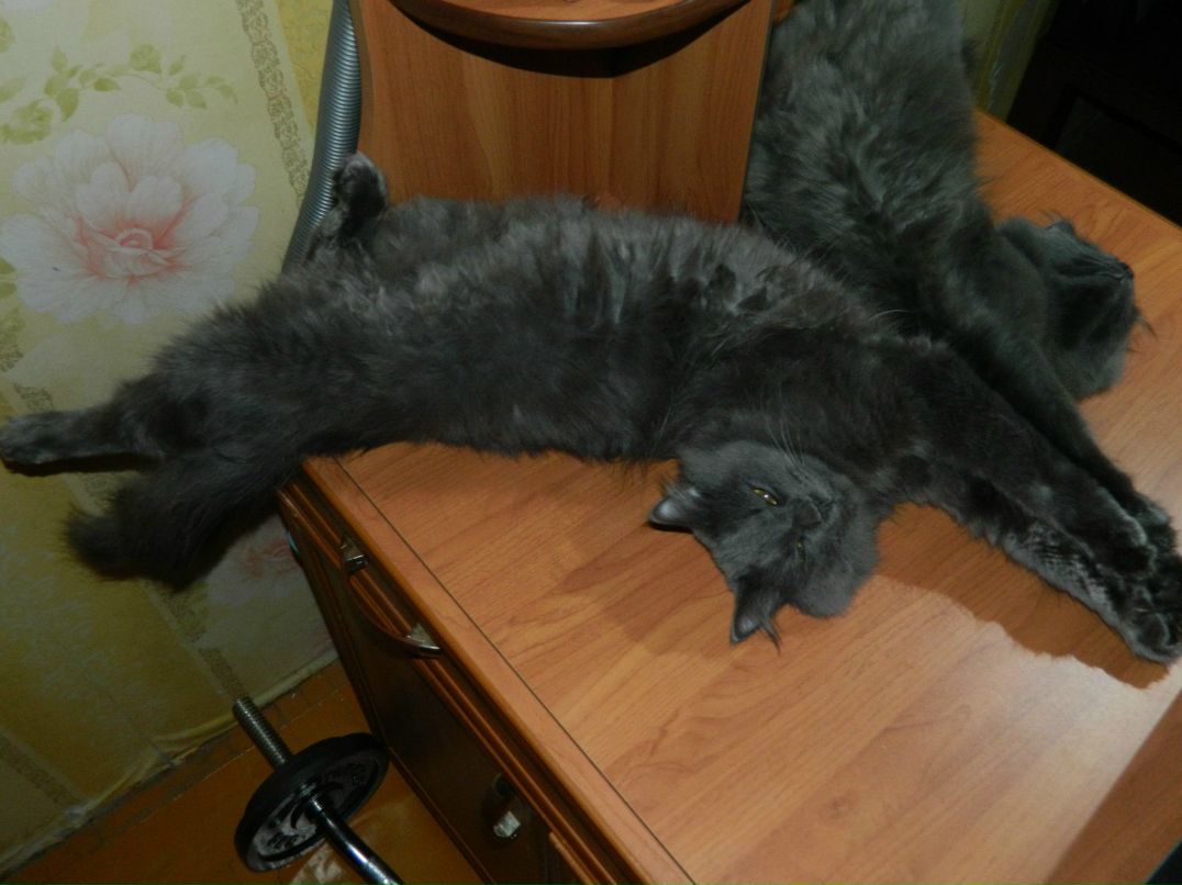 Евгений Мельниченко W | Челябинск