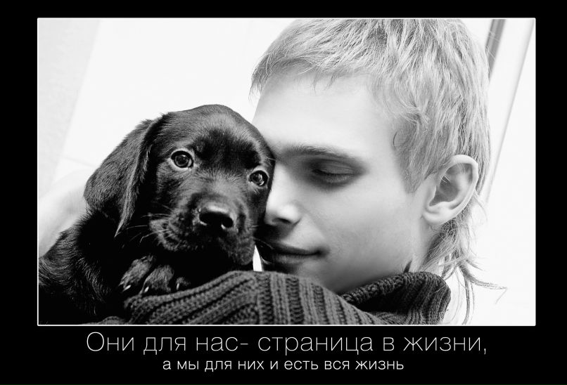 Артур Свешников | Харьков