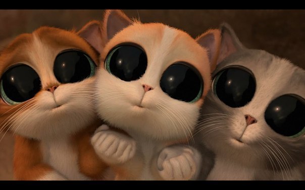 Евгений Кечаев | Тольятти