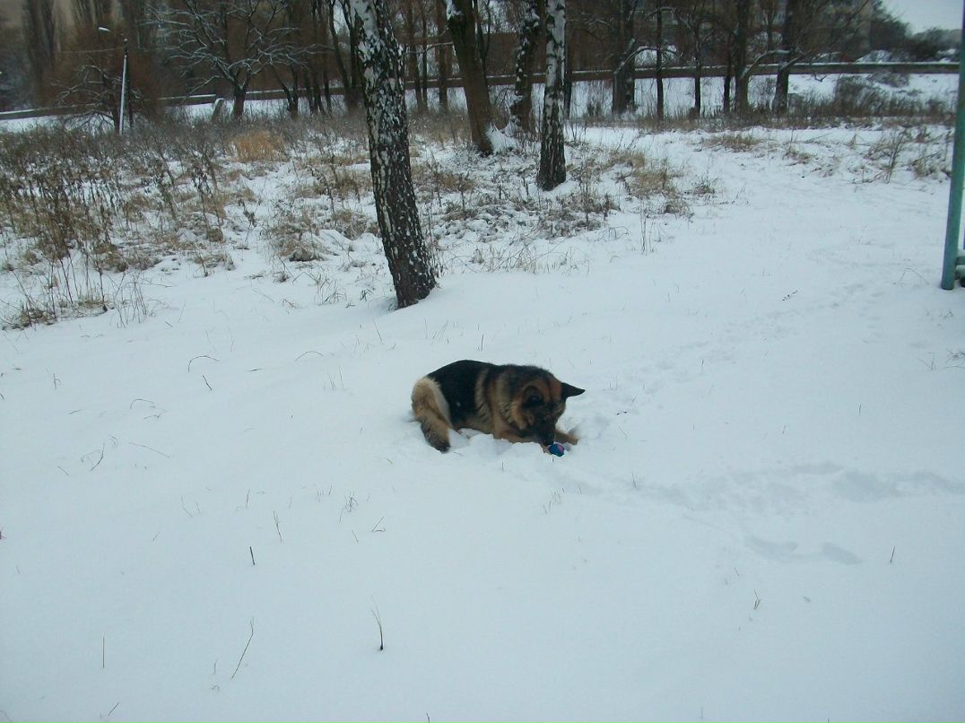 Сергей Булгаков | Винница