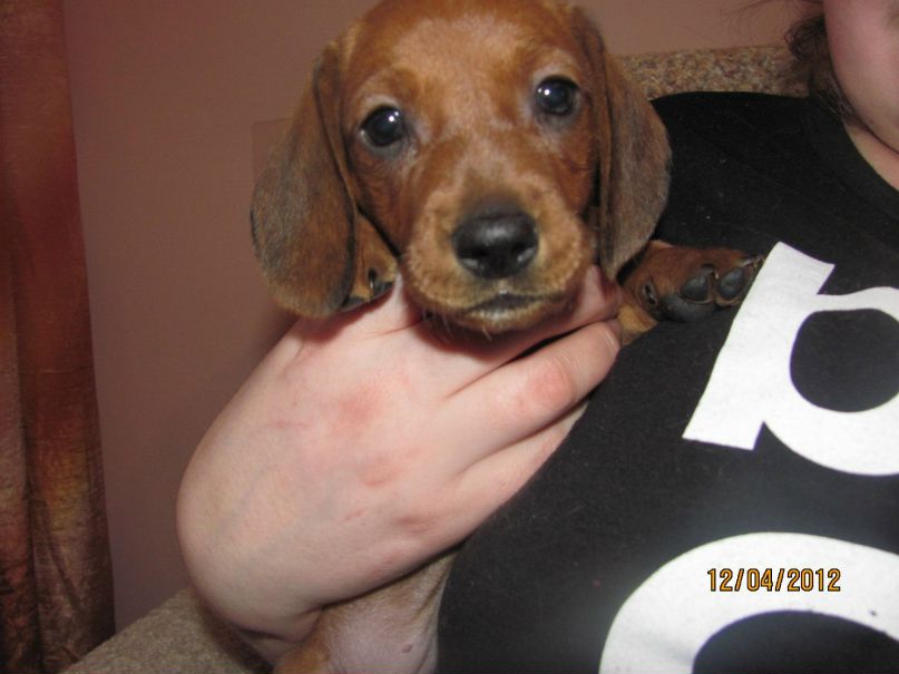 Вася Тюрин | Санкт-Петербург