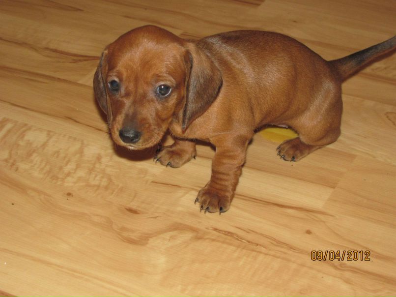 Вася Тюрин | Санкт-Петербург