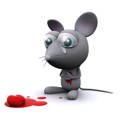 София Волк | Санкт-Петербург