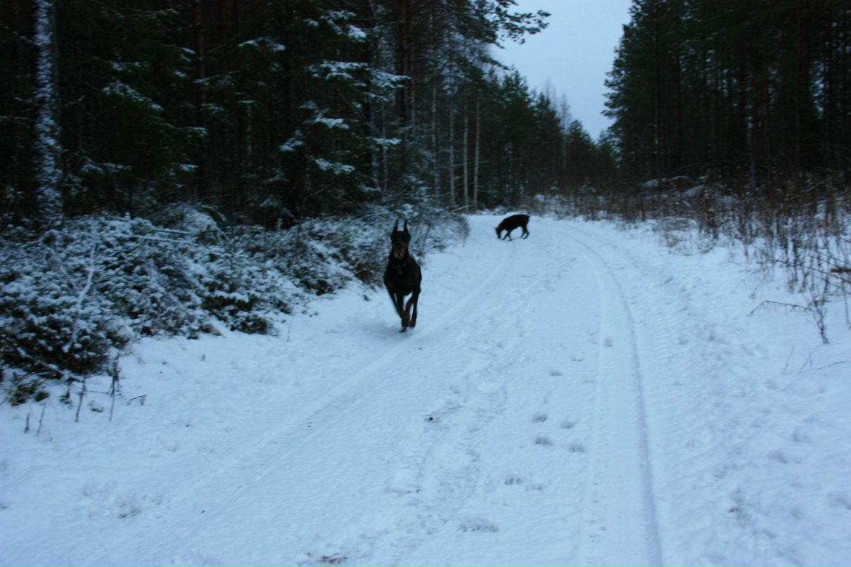 Sergey Davydov | Санкт-Петербург