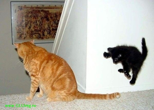 Анна Попова | Раменское