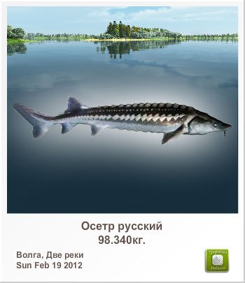 Николай Христенко | Харьков