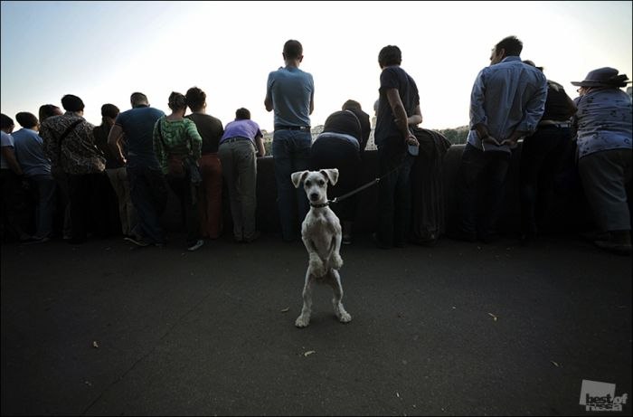 Ярослав Шалига | Тернополь