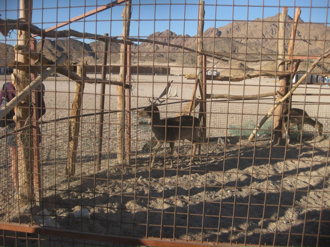 Андрей Емец | Москва