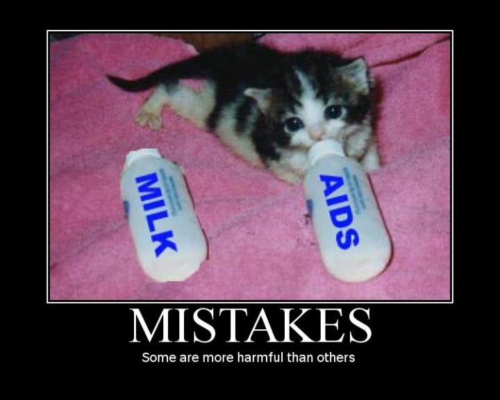 Ренат Мингазов Riki-Tiki | Москва