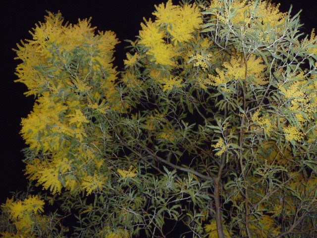 Наталия Лукина | Санкт-Петербург