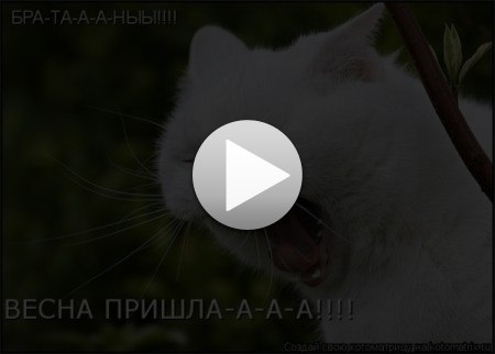 Татьяна Сидоренко | Белая Церковь