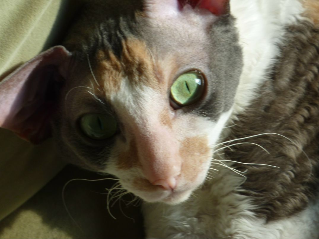 Татьяна Еловего | Санкт-Петербург