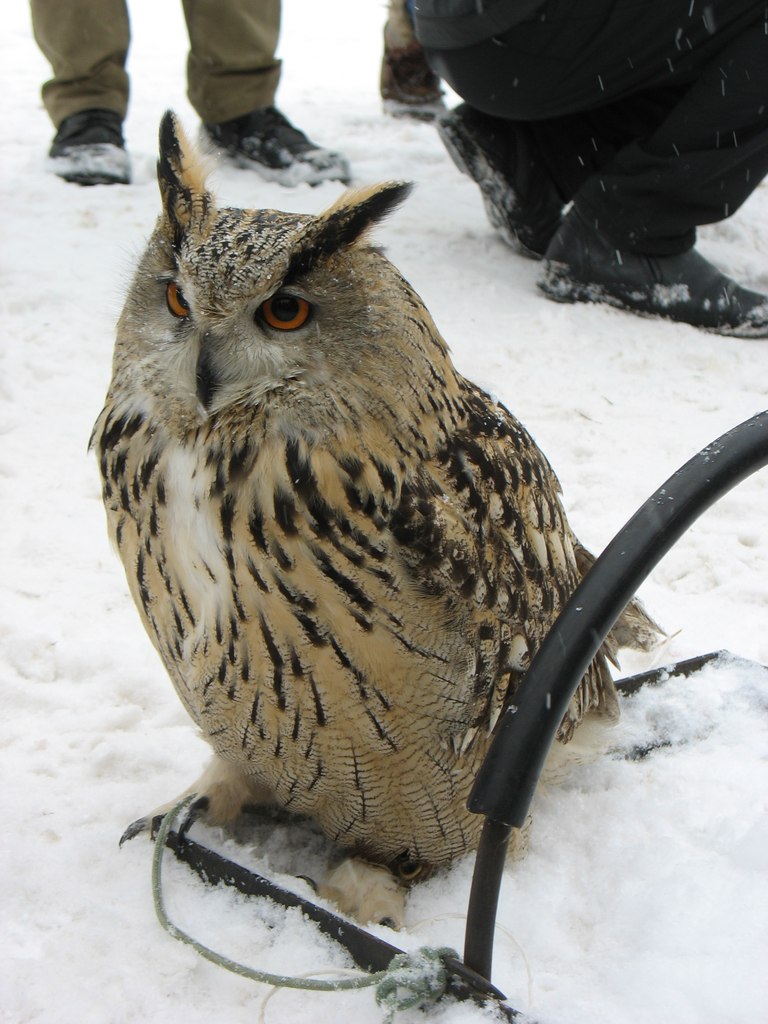 Саша Саша | Санкт-Петербург