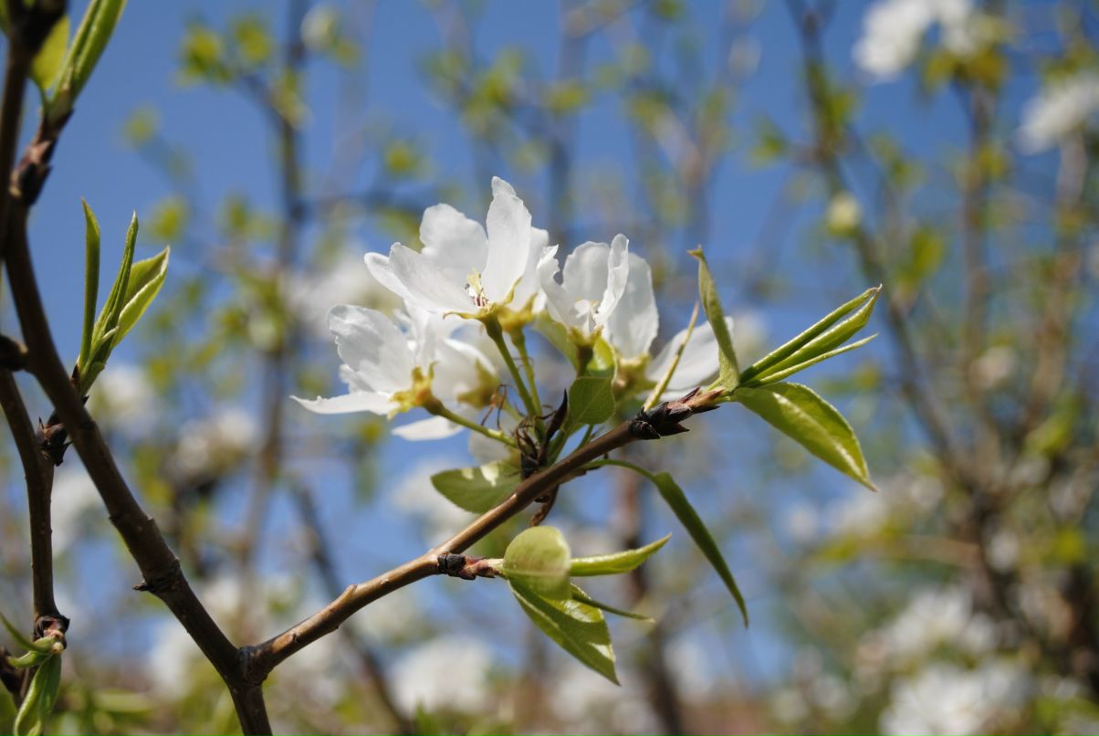 Татьяна Курисько | Санкт-Петербург