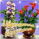 Цветочная комната - продолжение