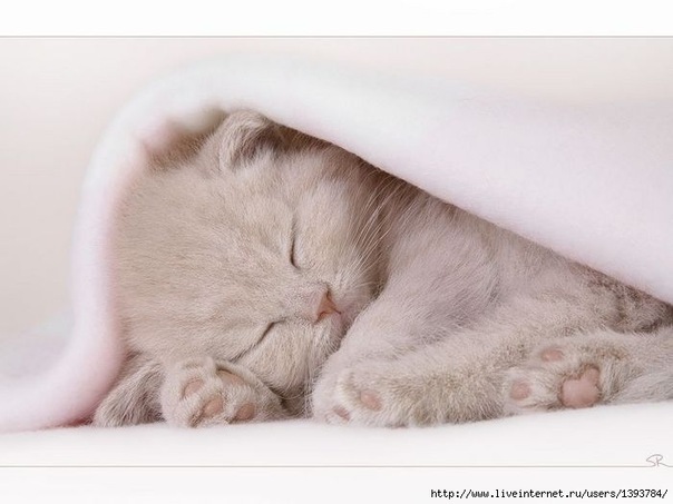 №154, Лидия Кириченко, 30 лет №154, Лидия Кириченко, 30 лет