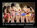 Фотография Константин Телегин