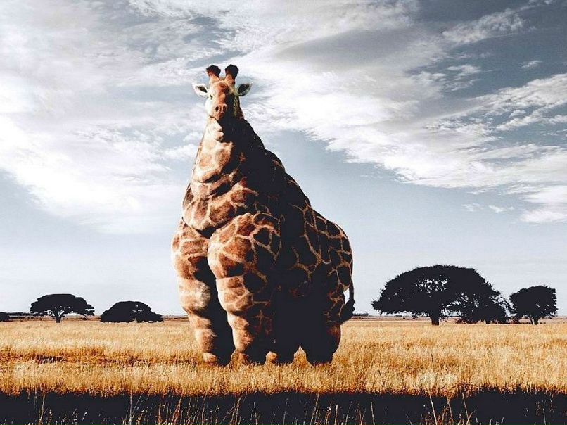 Mysya O | Выборг