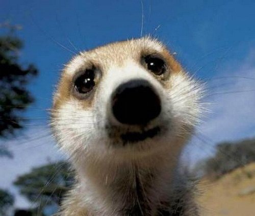 №44, Анна Сеничкина, Москва №44, Анна Сеничкина, Москва