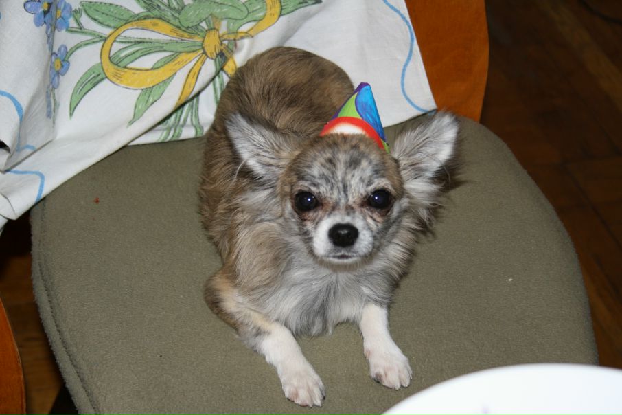 №118, Анна Гордеева, Воронеж №118, Анна Гордеева, Воронеж