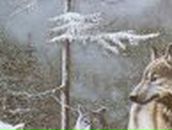 Дмитрий Качан | Луганск